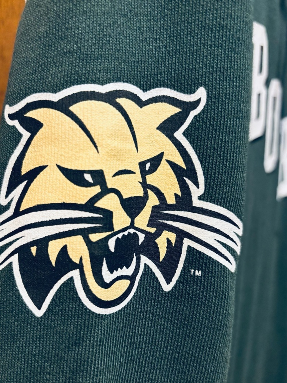 CHAMPION OHIO UNIVERSITY BOBCATS Hockey Style Hoodie - Picture 4 of 7